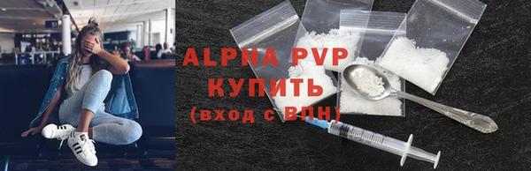 индика Лихославль
