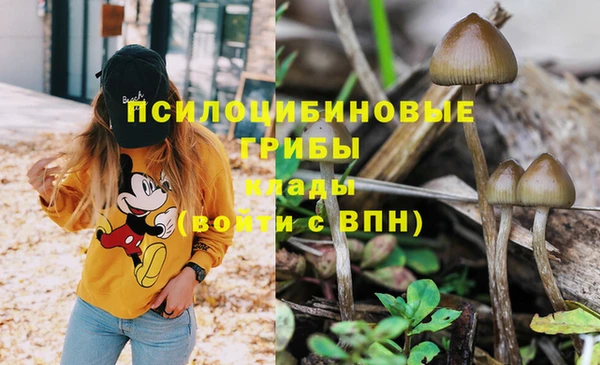 индика Лихославль