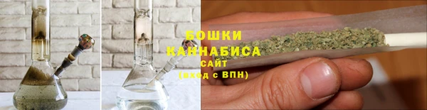 ECSTASY Липки