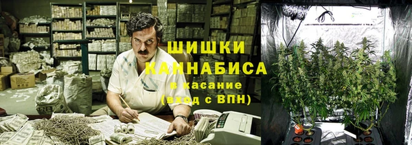 ECSTASY Липки