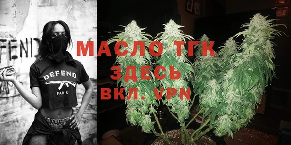 индика Лихославль