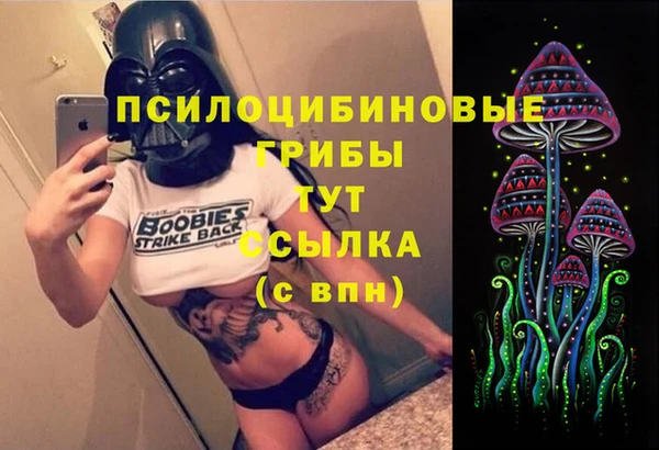 индика Лихославль