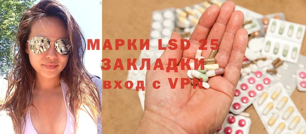 индика Лихославль