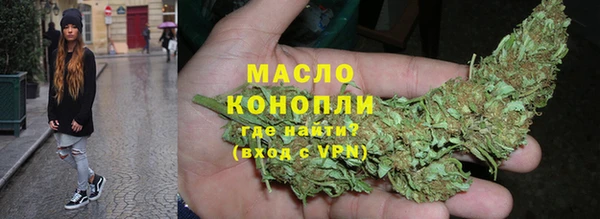 индика Лихославль