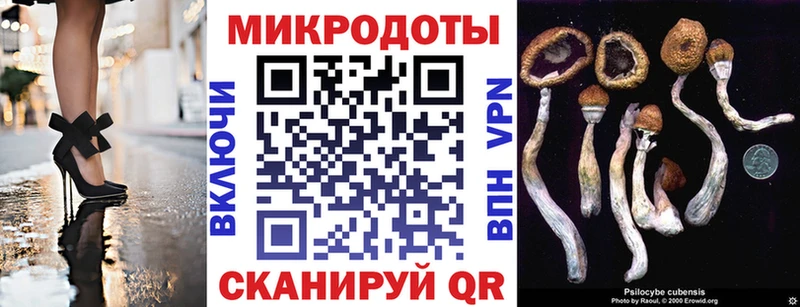 Купить закладки  Карачаевск  Галлюциногенные грибы мухоморы 